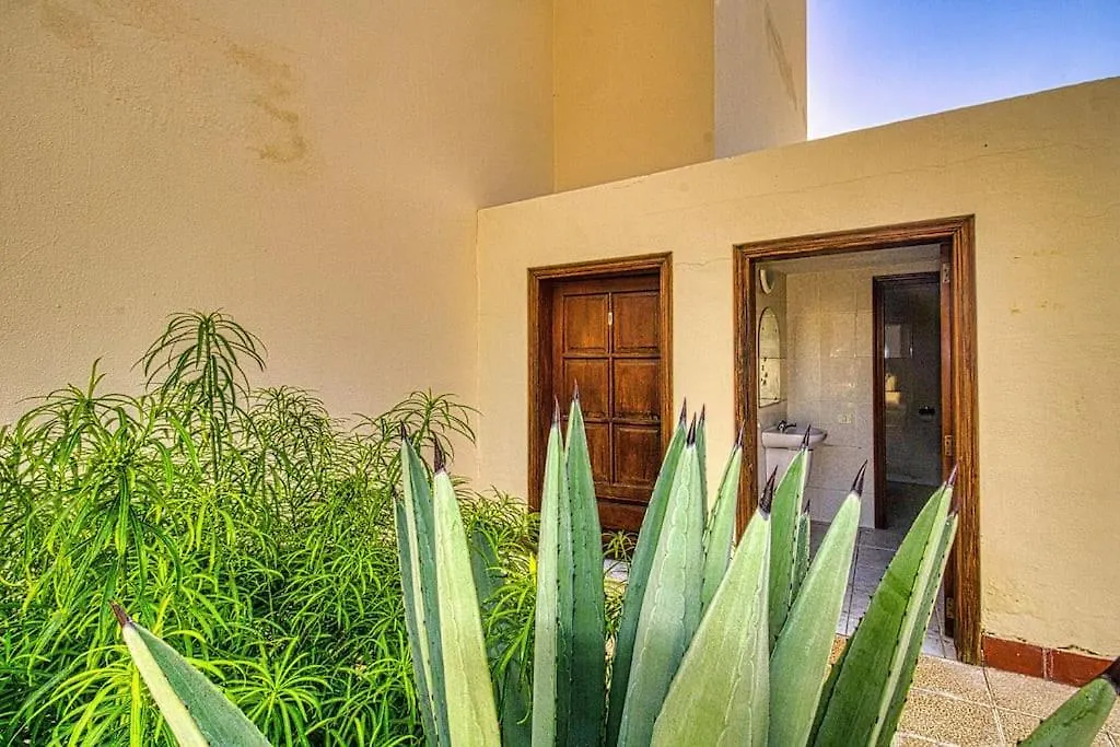 Relax At Roques Del Conde Apartment Costa Adeje  Spain